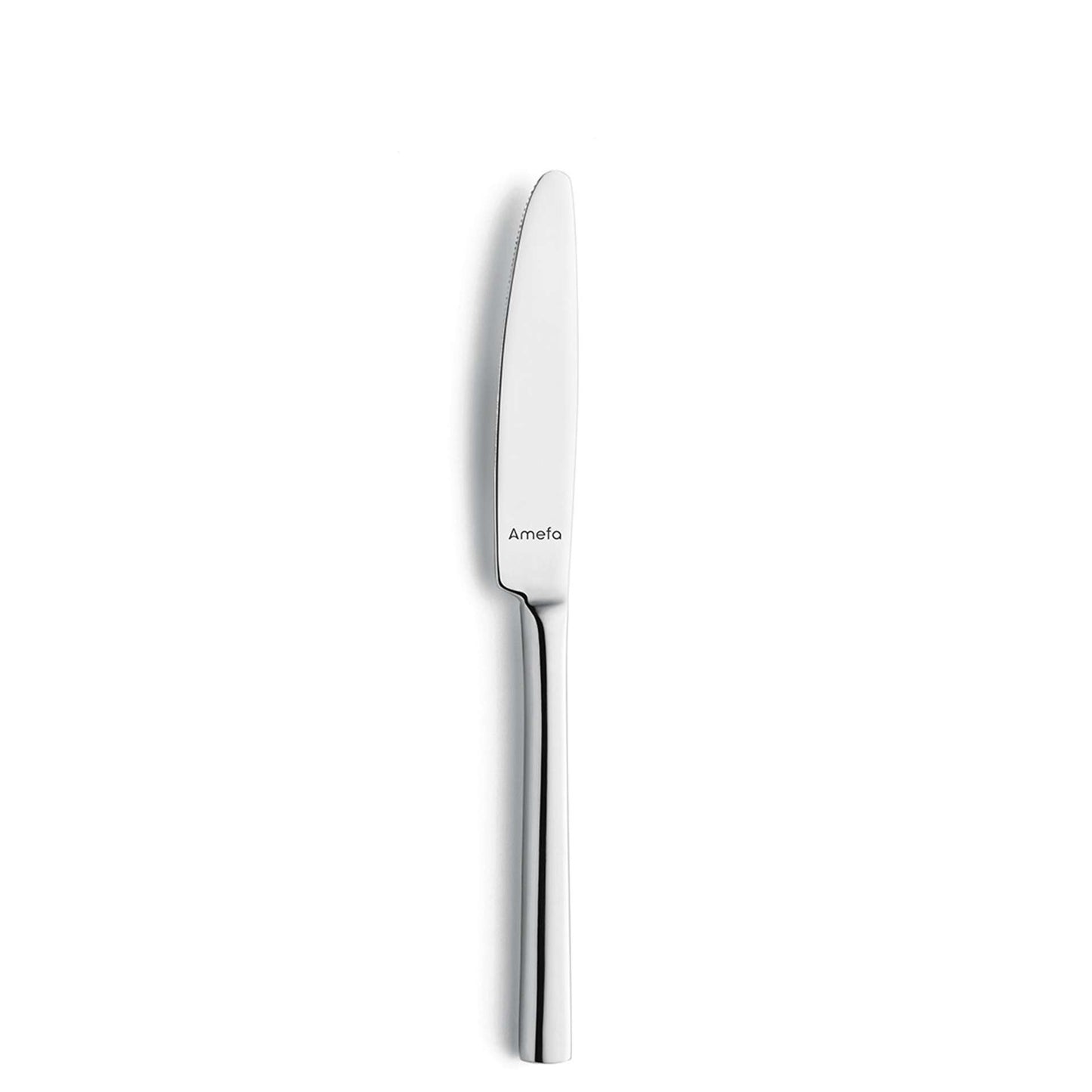Colorado Table Knife Set - 2 Persons - 2-piece - Silver Colored