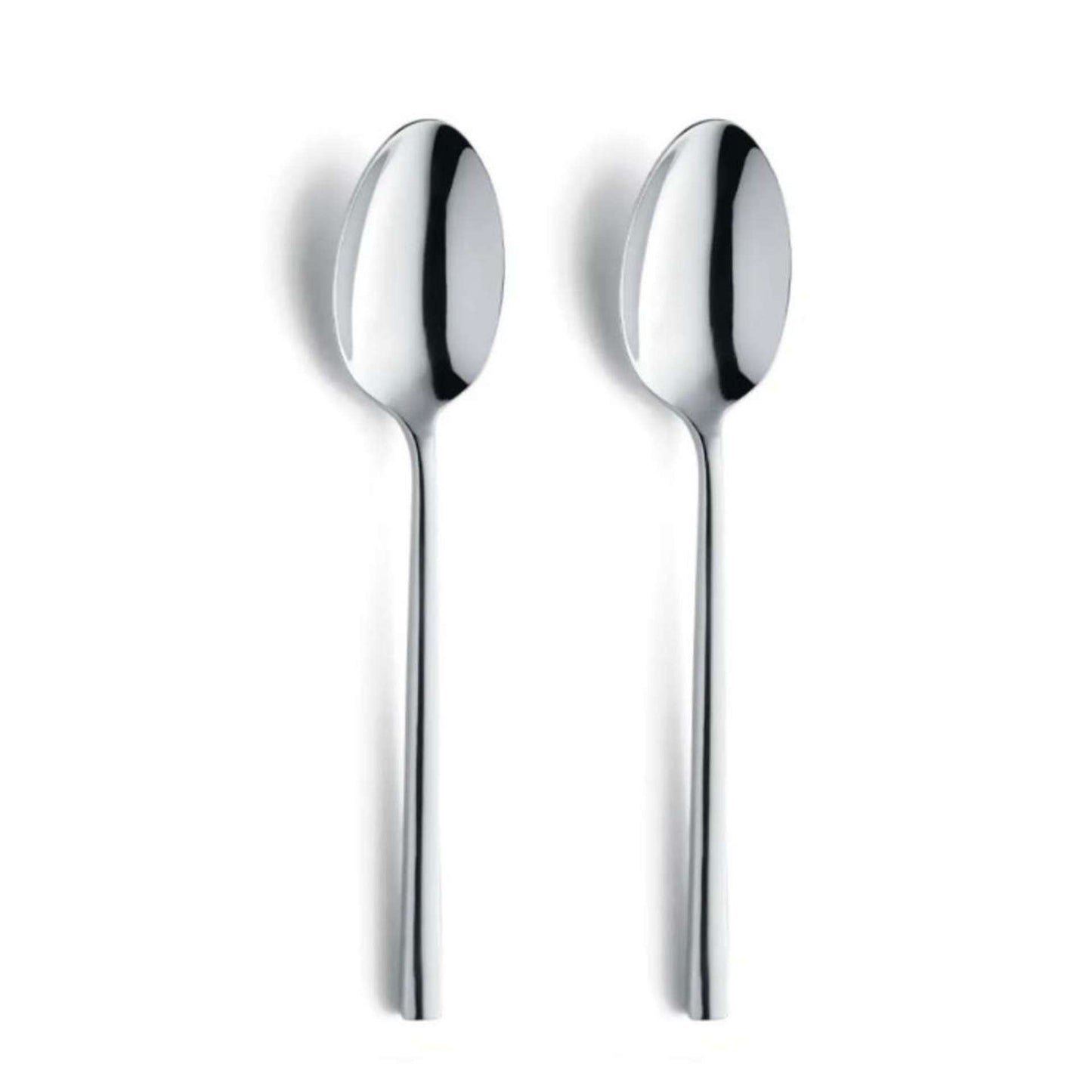 Colorado Table Spoon Set - 2 Persons - 2-piece - Silver Colored