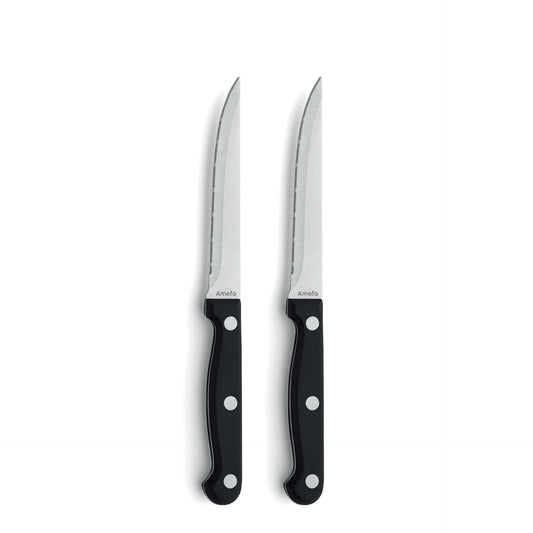 Steakmessen set - 2-delig - 2 Personen - Steak