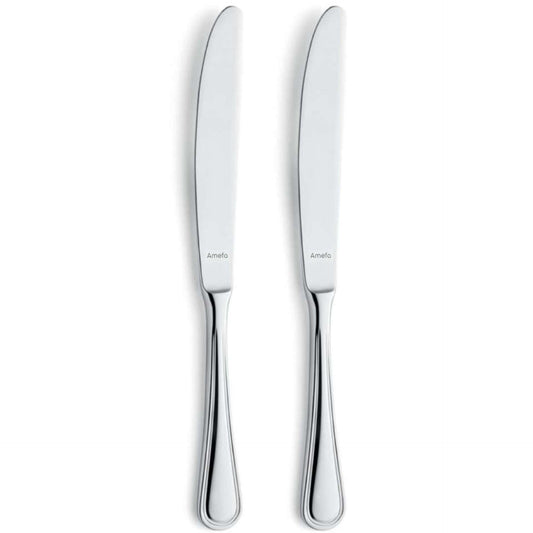 Haydn Table Knife Set - 2 Persons - 2-piece - Silver Colored